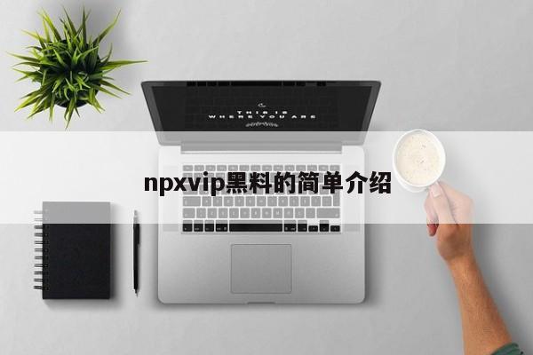 npxvip黑料的简单介绍