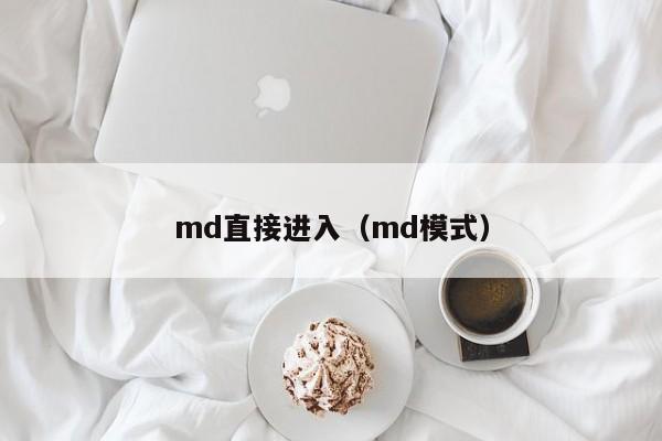 md直接进入（md模式）