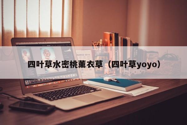 四叶草水密桃薰衣草（四叶草yoyo）