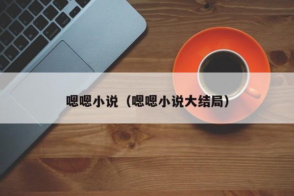 嗯嗯小说（嗯嗯小说大结局）