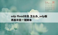 udp flood攻击 怎么办_udp服务器攻击一键脚本
